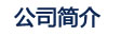 公司簡(jiǎn)介